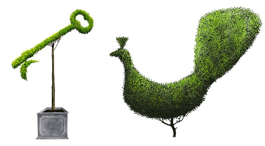 Topiary illustrations