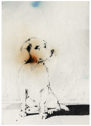 Mongrel Dog 570x240mm 1978 ink.jpg